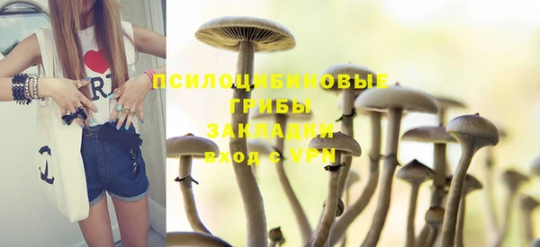 эйфоретик Кукмор