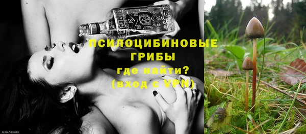 эйфоретик Кукмор
