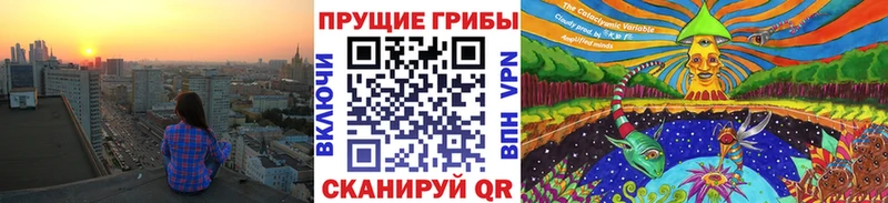 Псилоцибиновые грибы MAGIC MUSHROOMS Сураж
