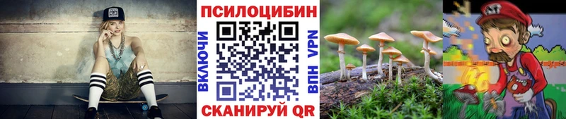 Псилоцибиновые грибы GOLDEN TEACHER  купить  цена  Сураж 